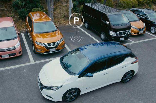 1709190023859622.jpeg 231645204302.jpeg