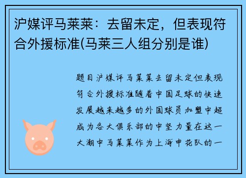 沪媒评马莱莱：去留未定，但表现符合外援标准(马莱三人组分别是谁)